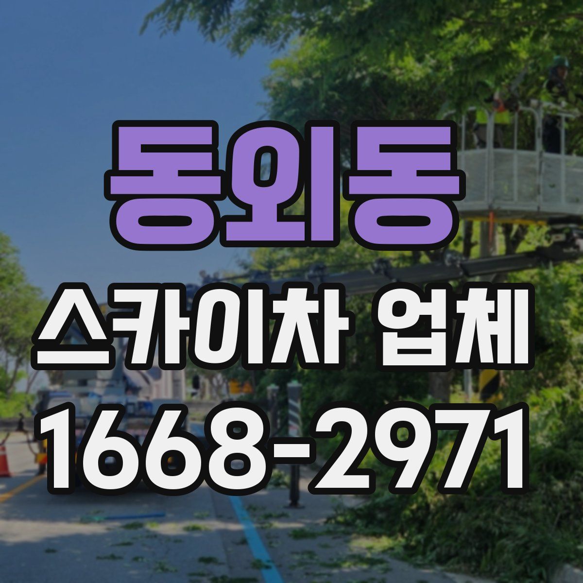 동외동 스카이차 업체