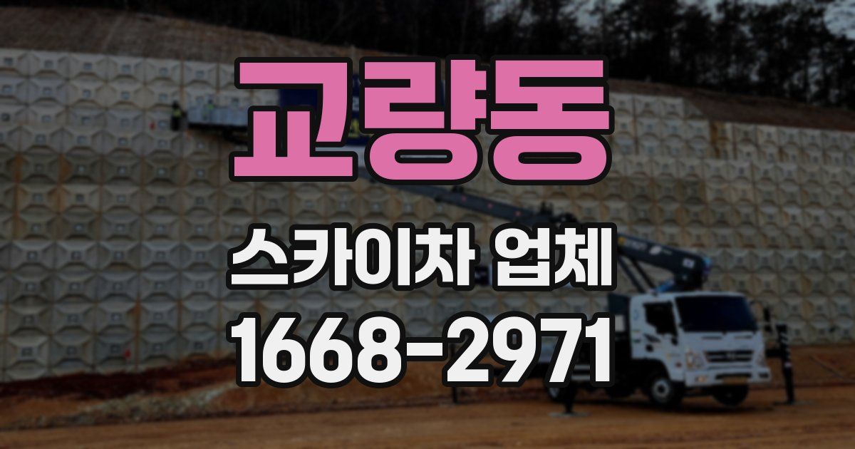 교량동 스카이차 업체