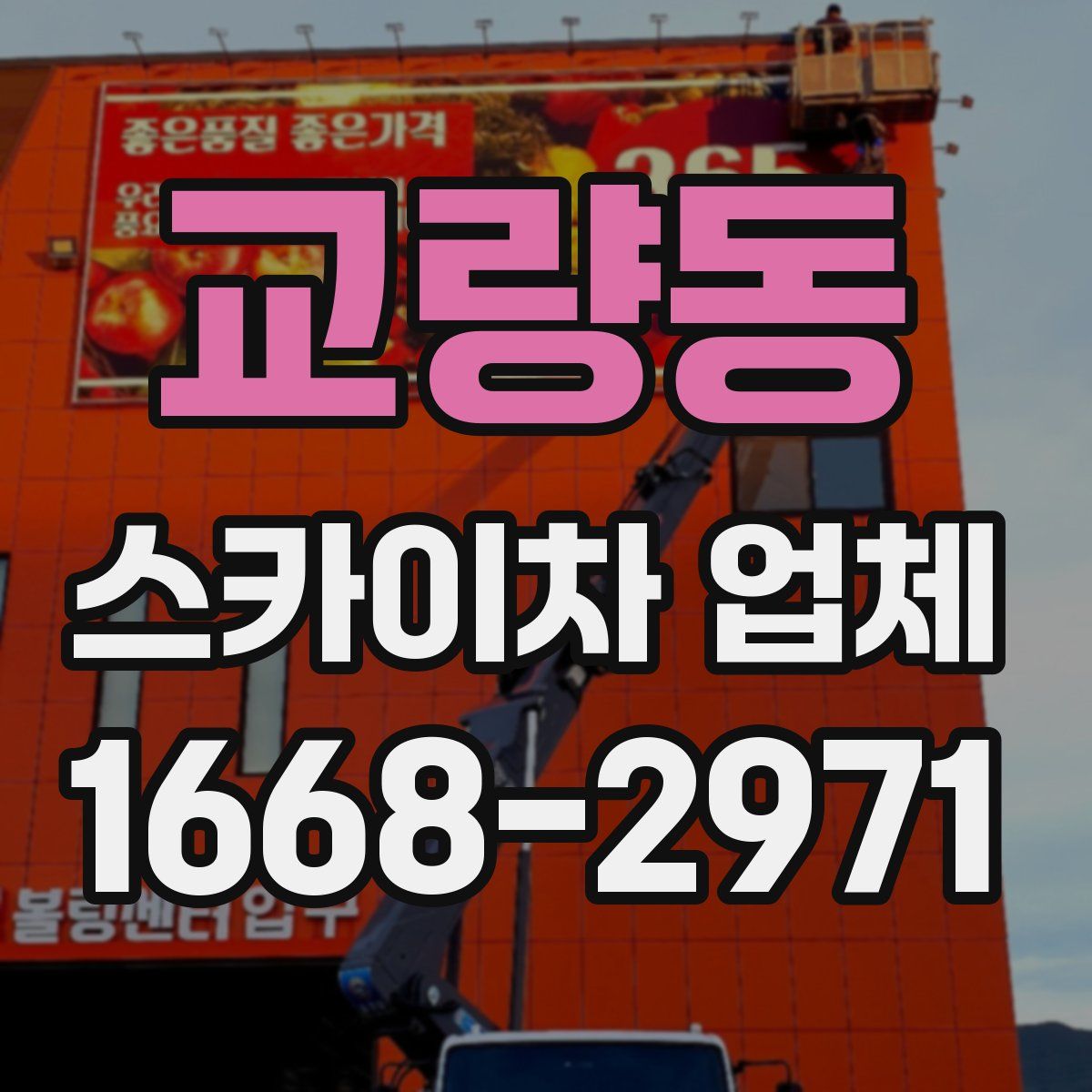 교량동 스카이차 업체