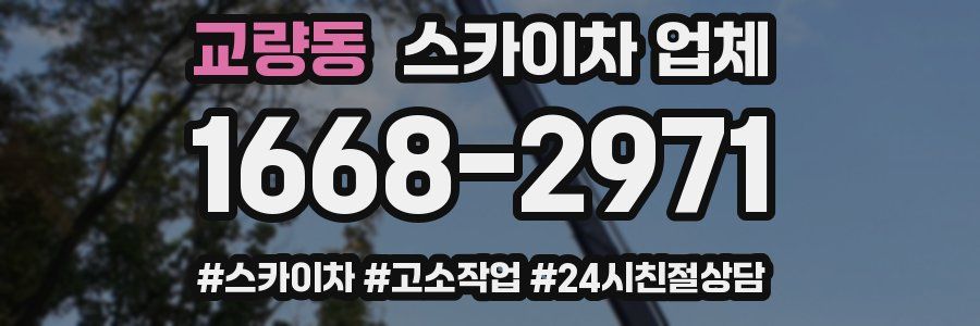 교량동 스카이차 업체