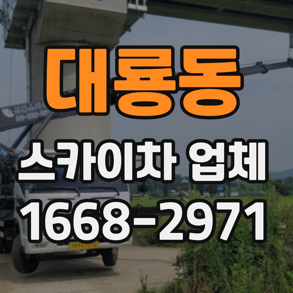 대룡동 스카이차 업체