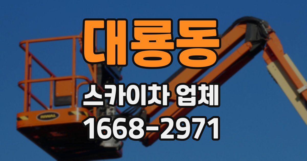 대룡동 스카이차 업체