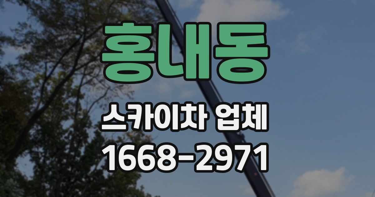 홍내동 스카이차 업체