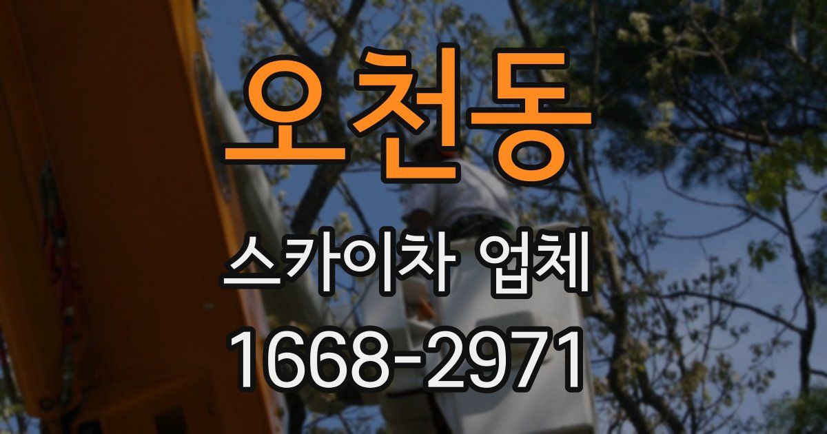 오천동 스카이차 업체