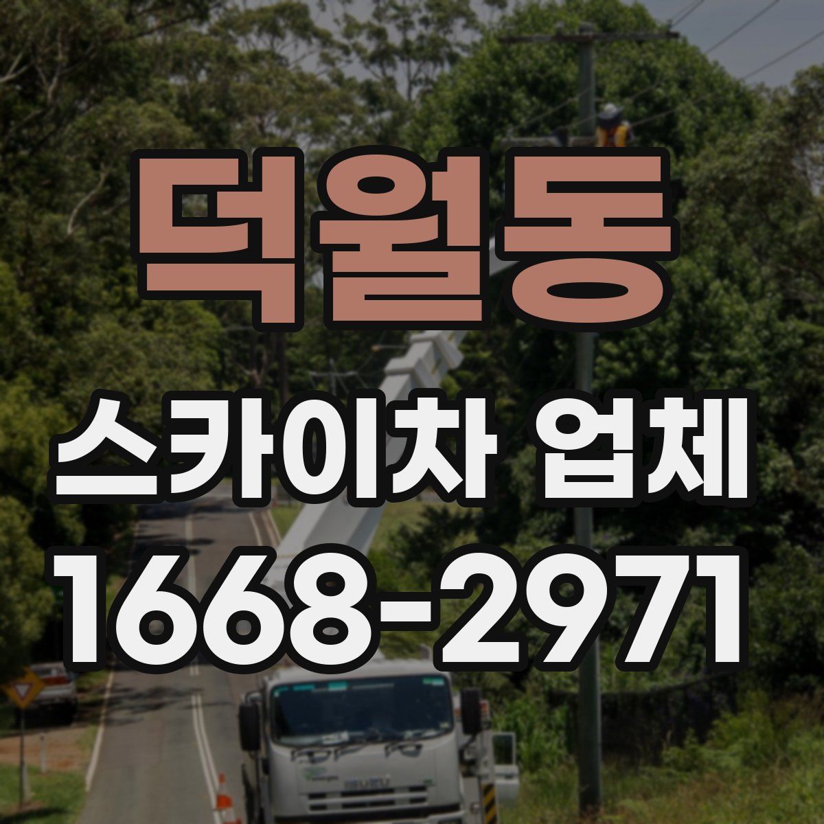 덕월동 스카이차 업체