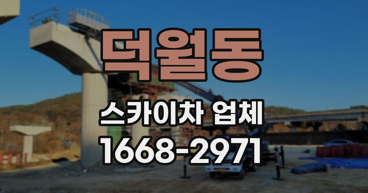 덕월동 스카이차 업체