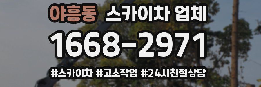 야흥동 스카이차 업체