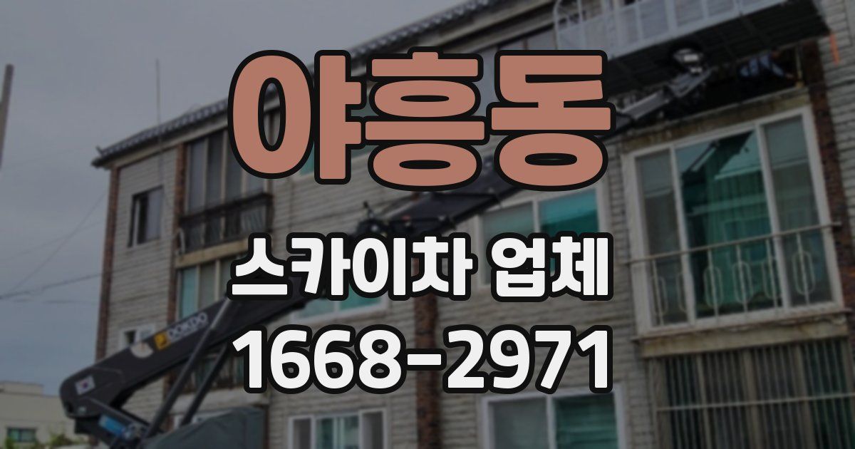 야흥동 스카이차 업체