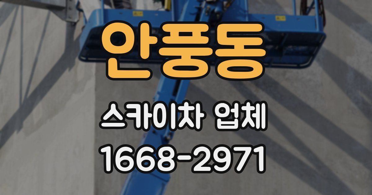 안풍동 스카이차 업체