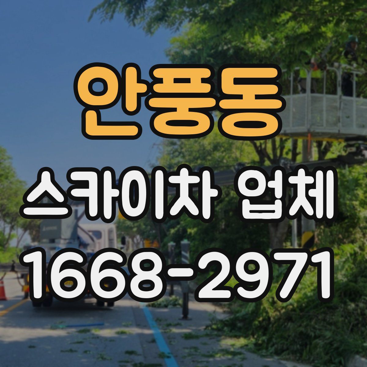 안풍동 스카이차 업체