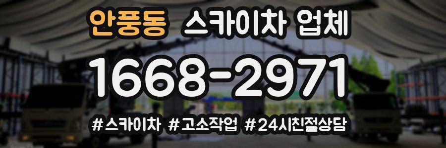 안풍동 스카이차 업체