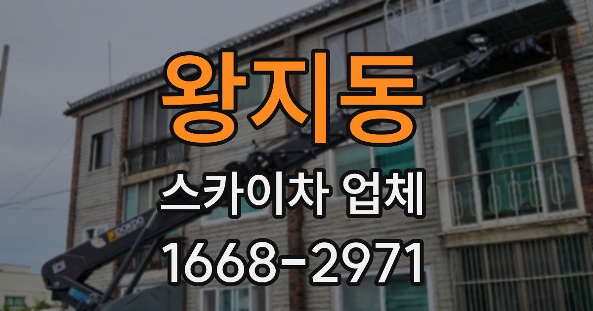 왕지동 스카이차 업체