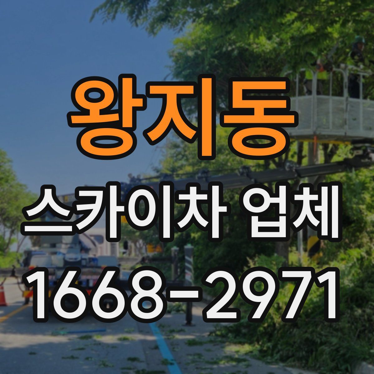 왕지동 스카이차 업체