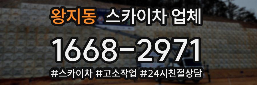 왕지동 스카이차 업체