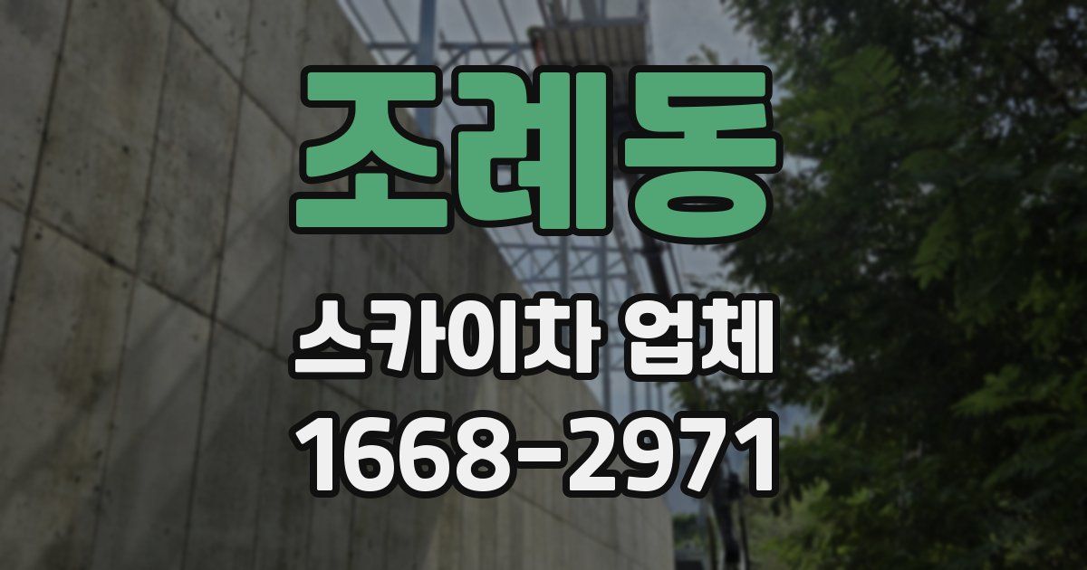 조례동 스카이차 업체