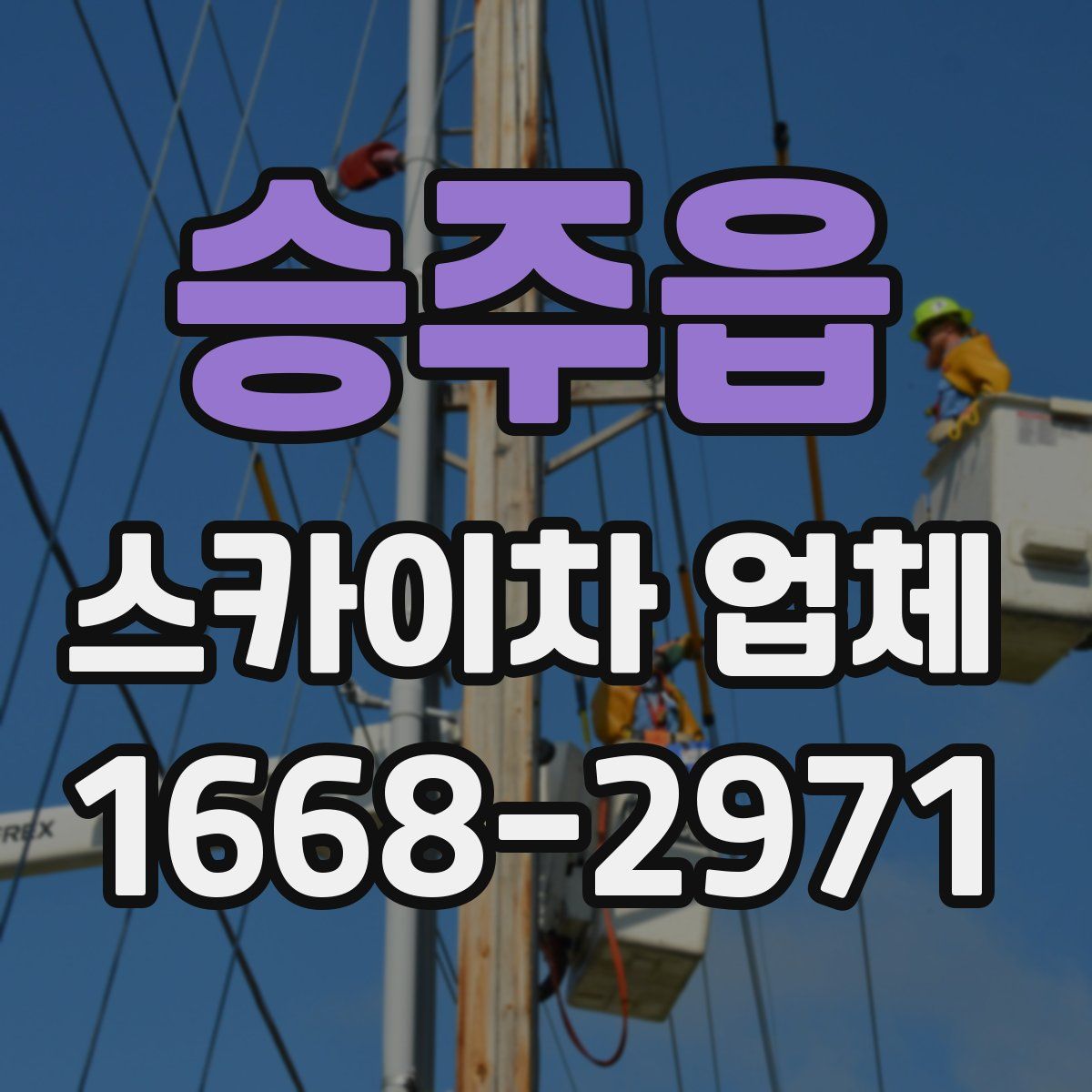승주읍 스카이차 업체