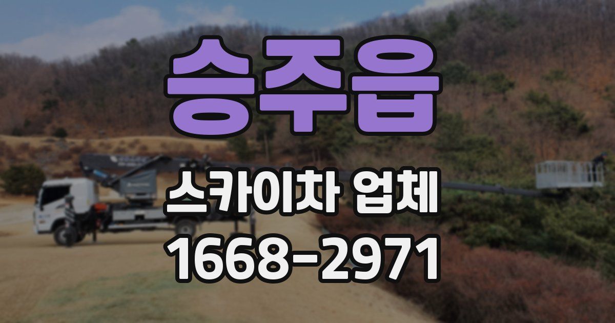 승주읍 스카이차 업체