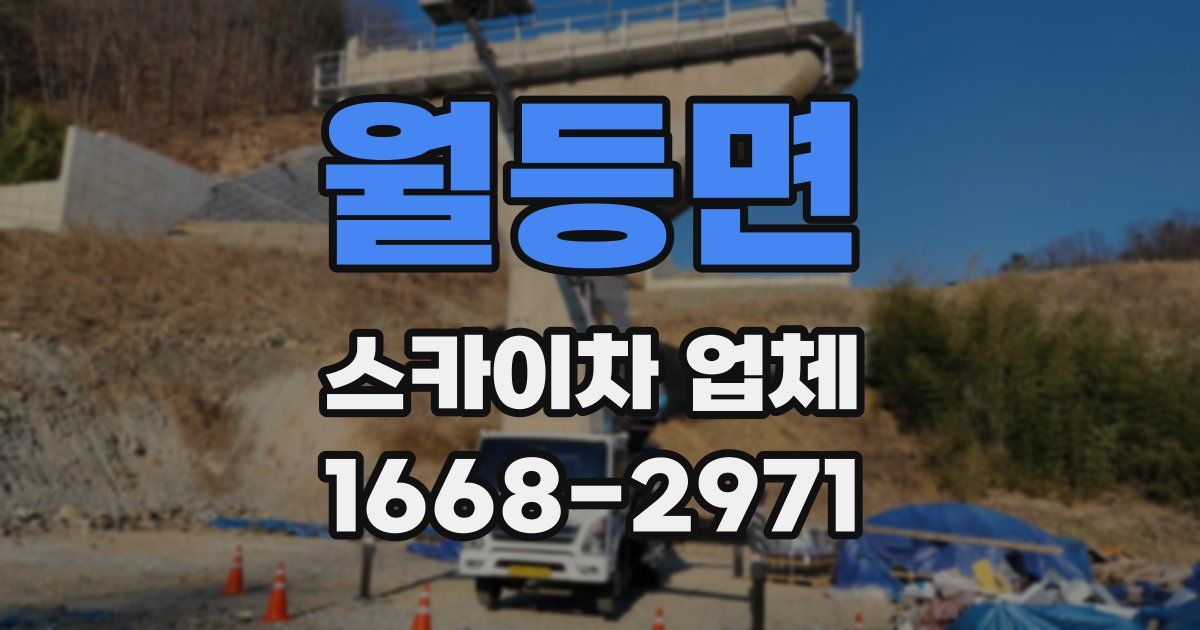 월등면 스카이차 업체