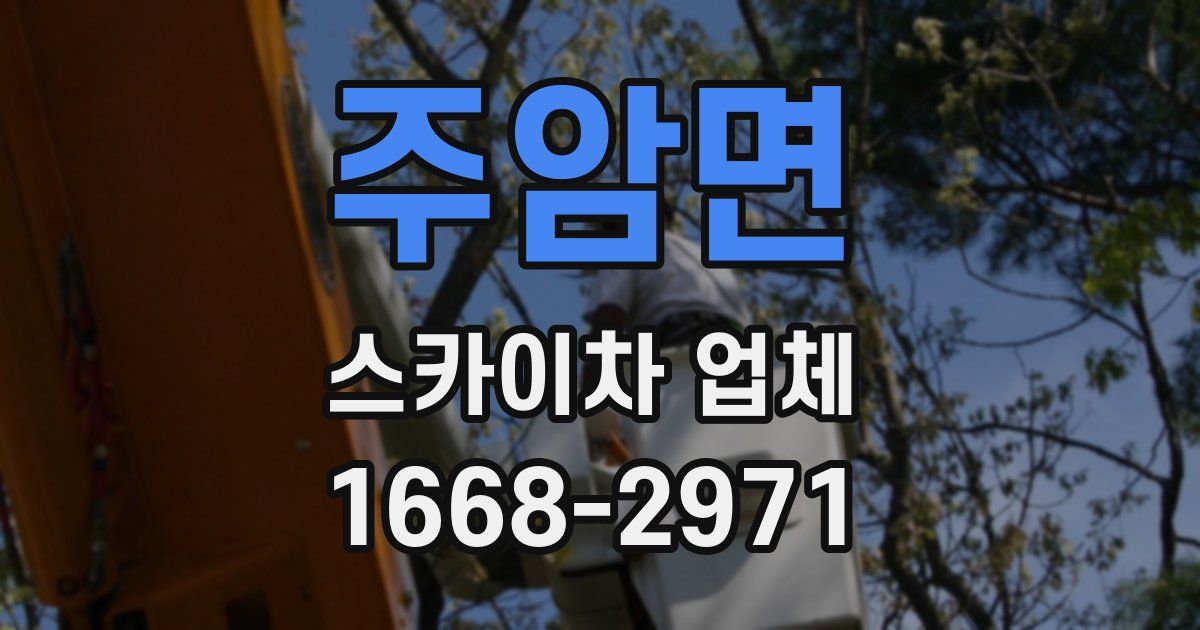 주암면 스카이차 업체
