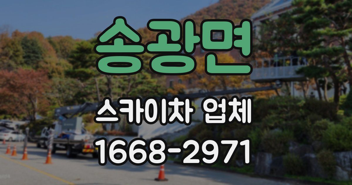 송광면 스카이차 업체