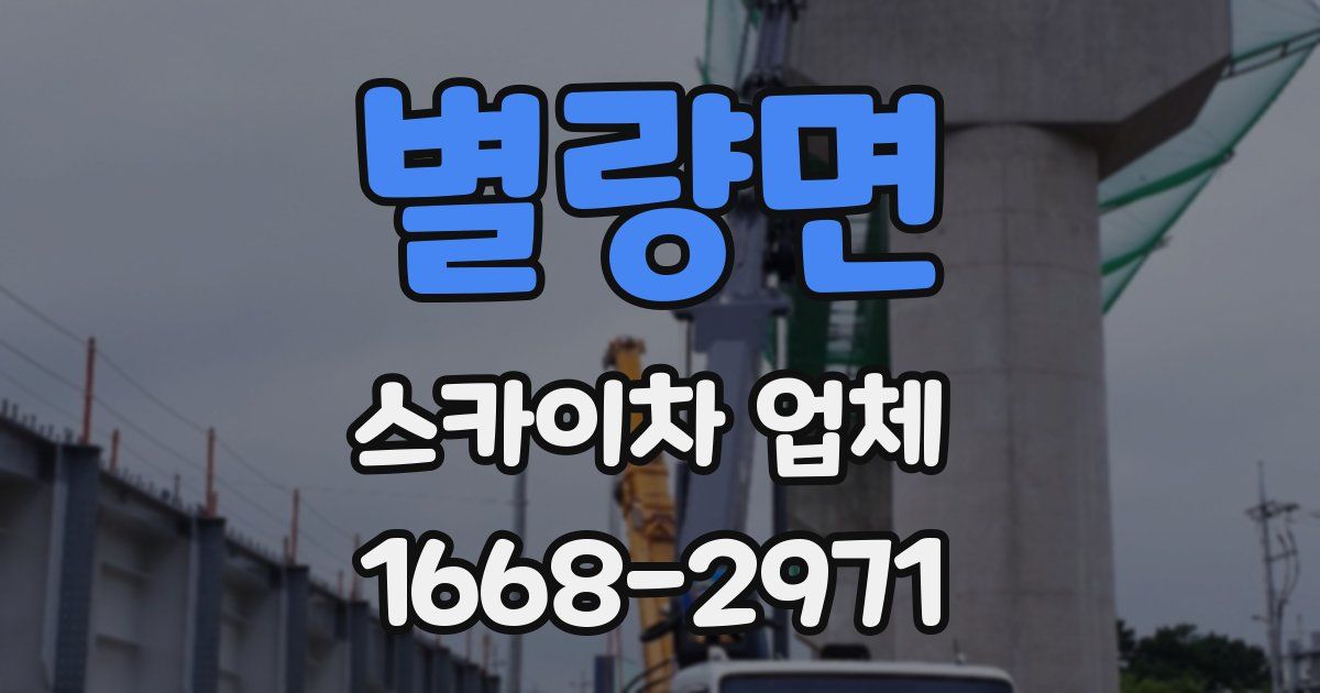 별량면 스카이차 업체