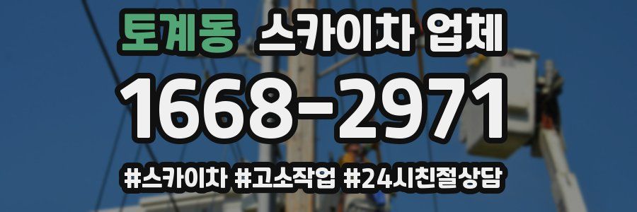 토계동 스카이차 업체