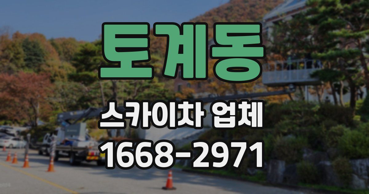 토계동 스카이차 업체