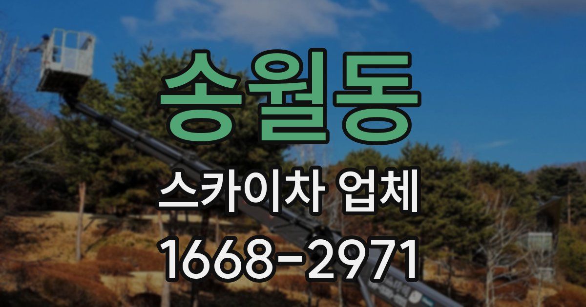 송월동 스카이차 업체