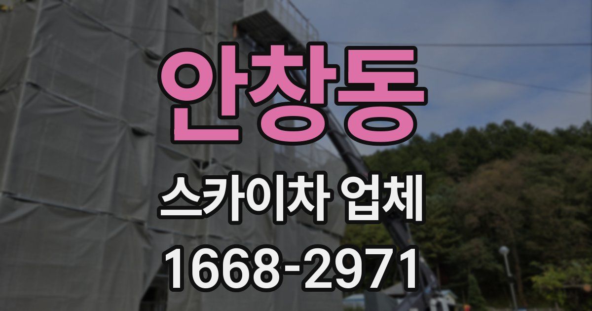 안창동 스카이차 업체