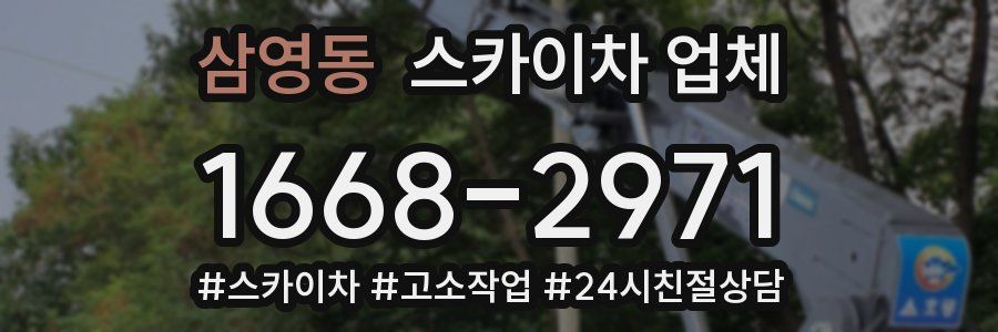 삼영동 스카이차 업체