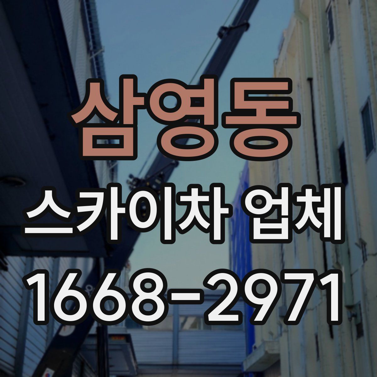 삼영동 스카이차 업체