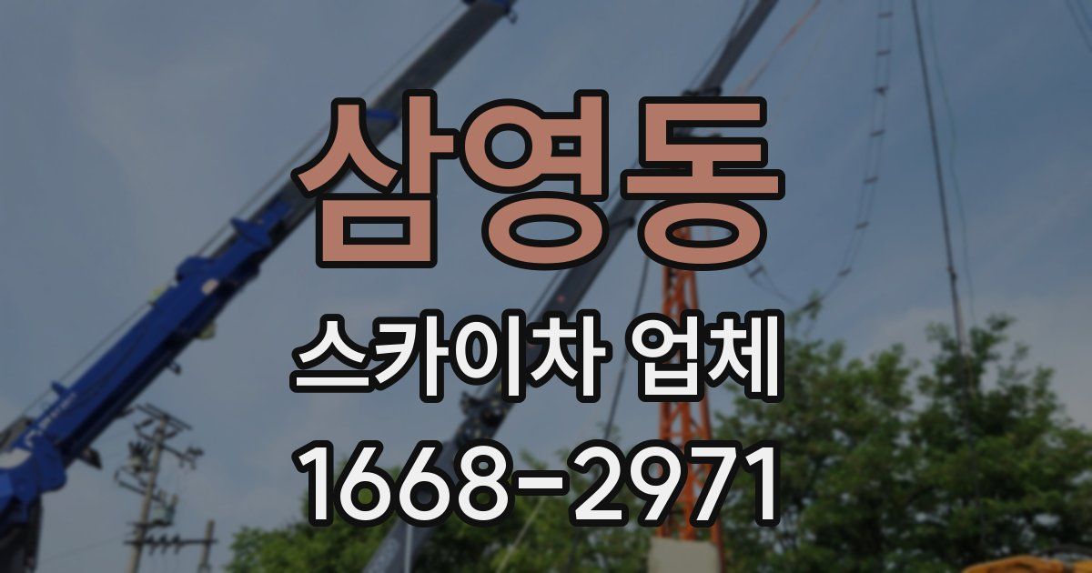 삼영동 스카이차 업체