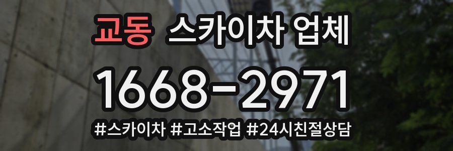 교동 스카이차 업체