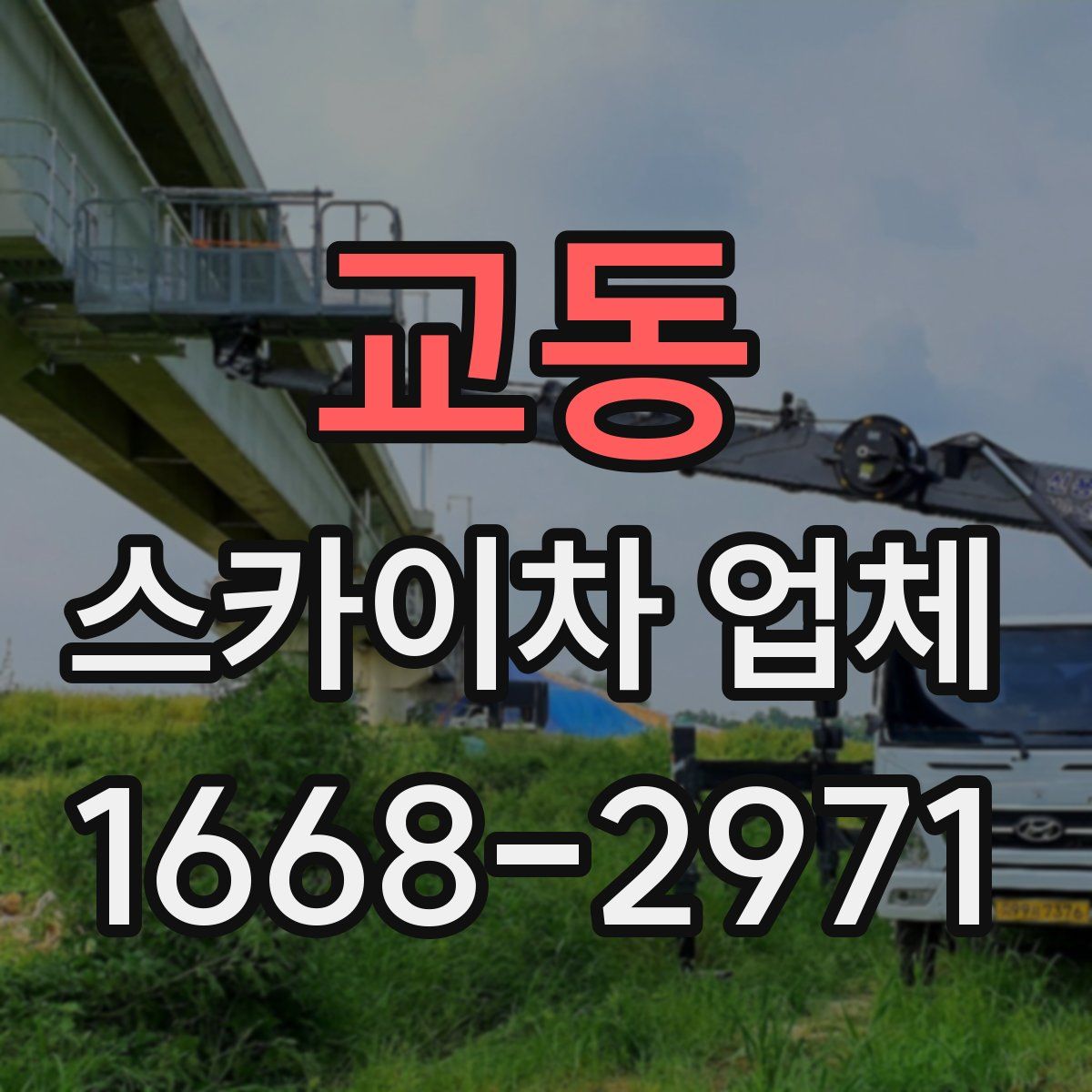 교동 스카이차 업체