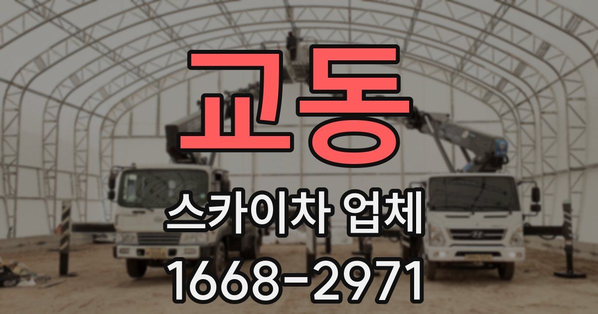 교동 스카이차 업체