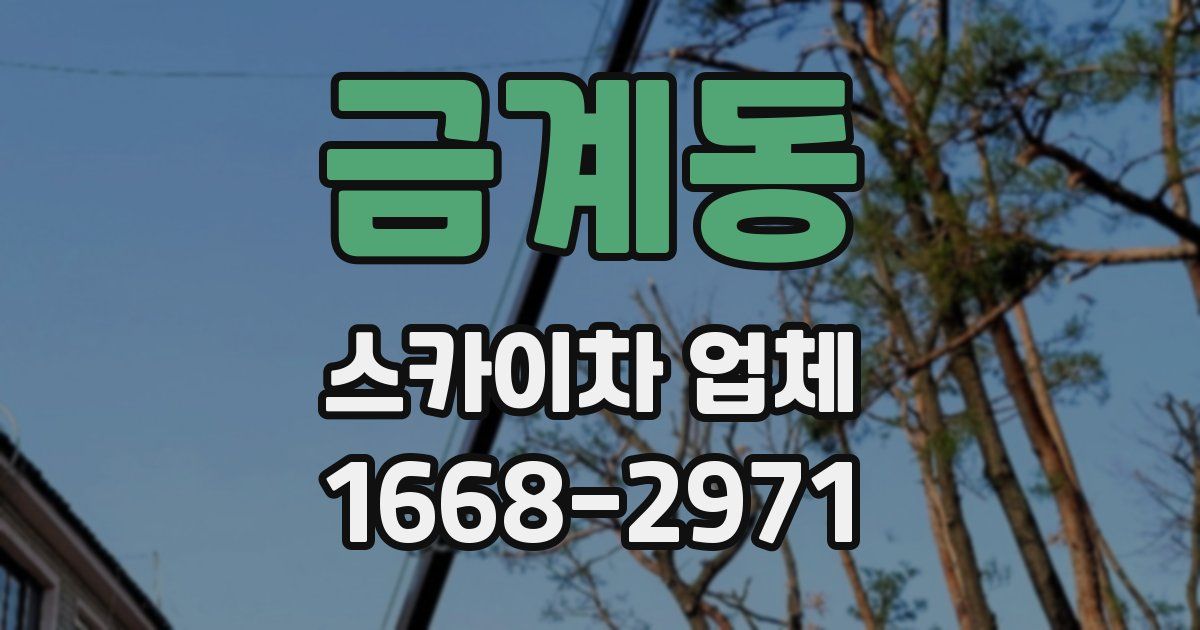금계동 스카이차 업체