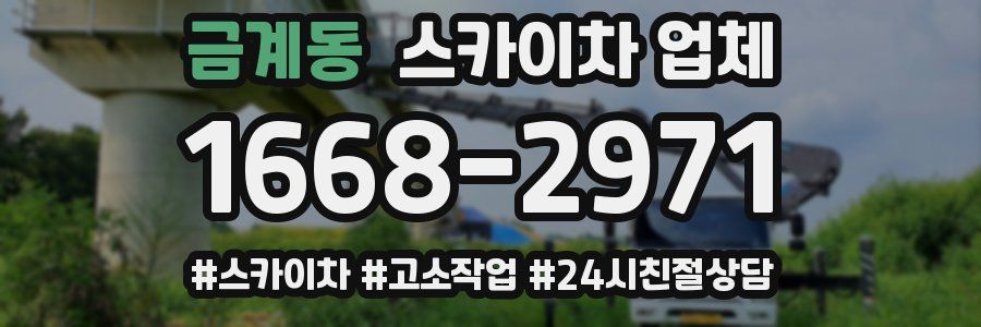 금계동 스카이차 업체