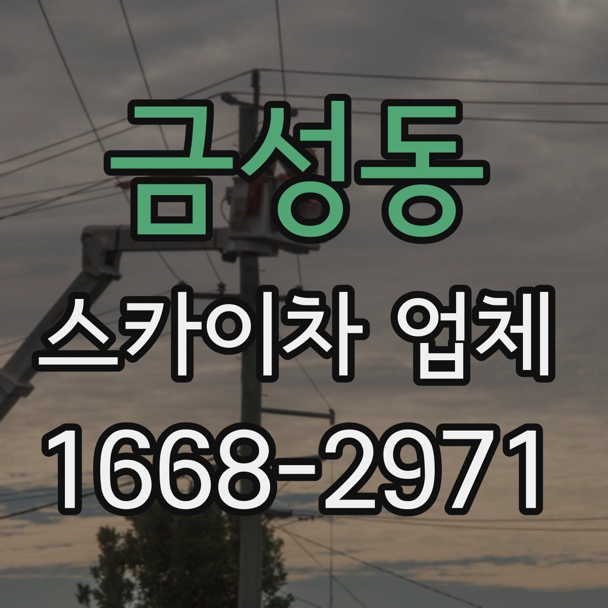 금성동 스카이차 업체