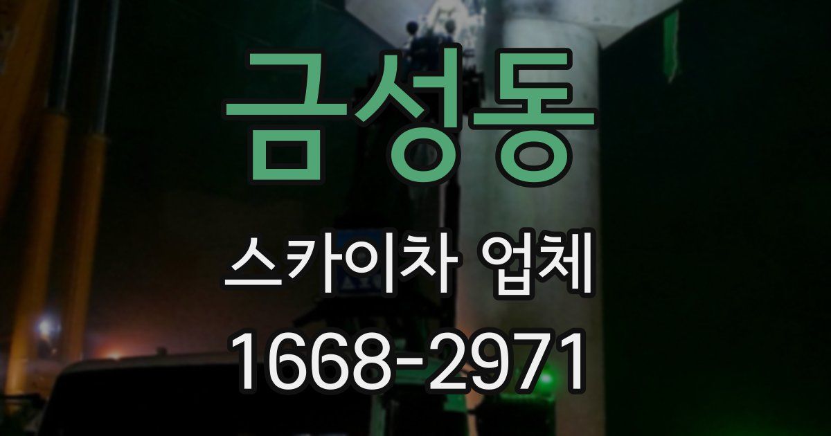 금성동 스카이차 업체