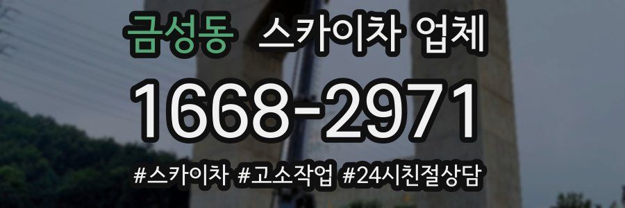 금성동 스카이차 업체