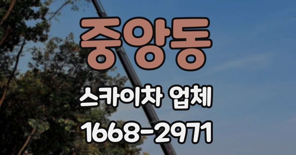 중앙동 스카이차 업체