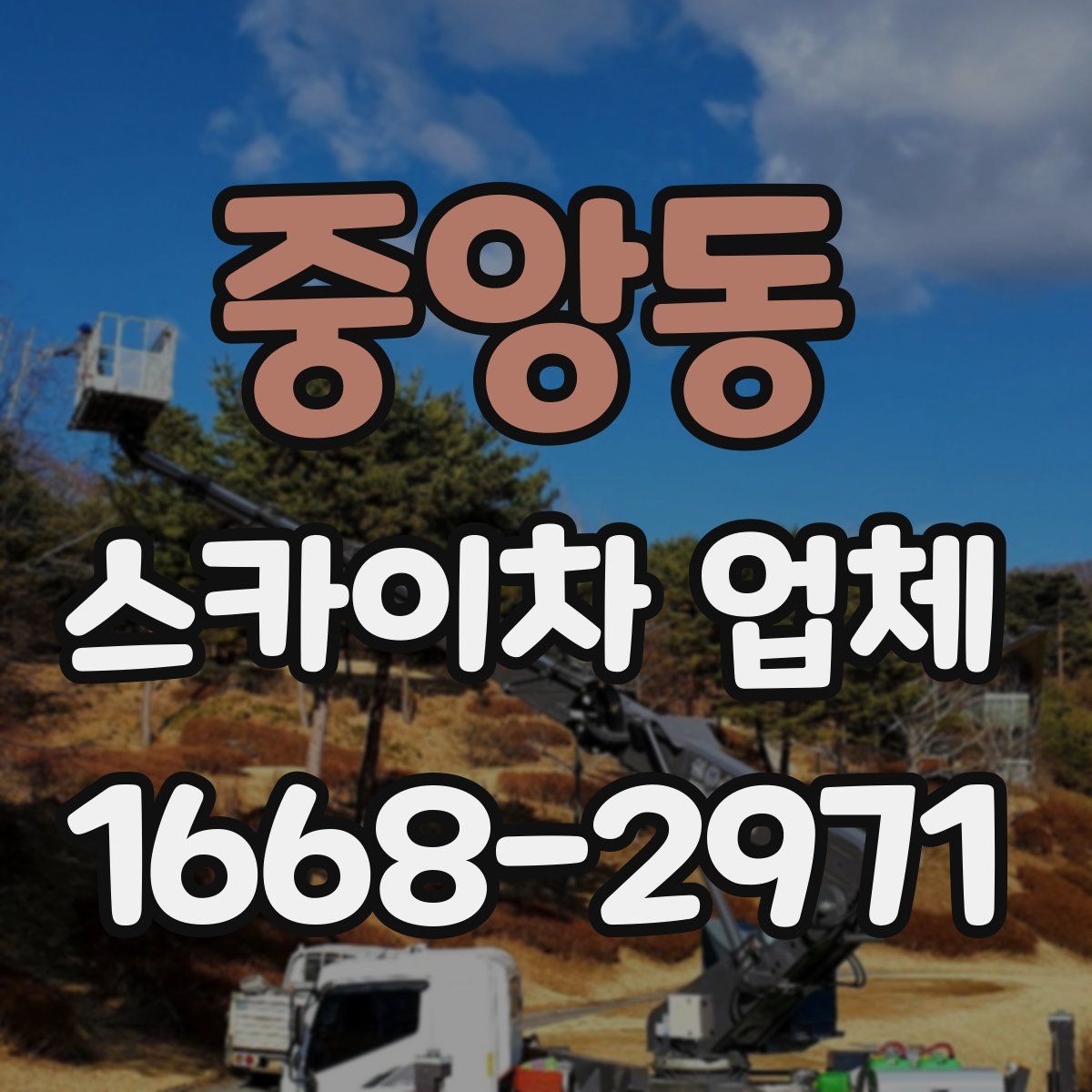 중앙동 스카이차 업체