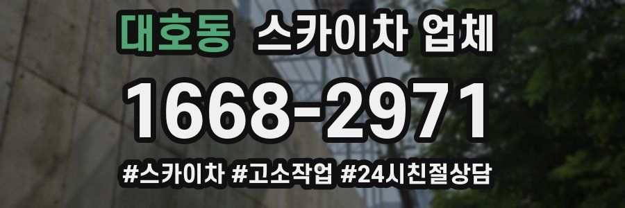 대호동 스카이차 업체