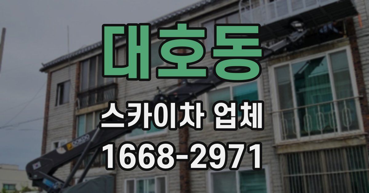 대호동 스카이차 업체