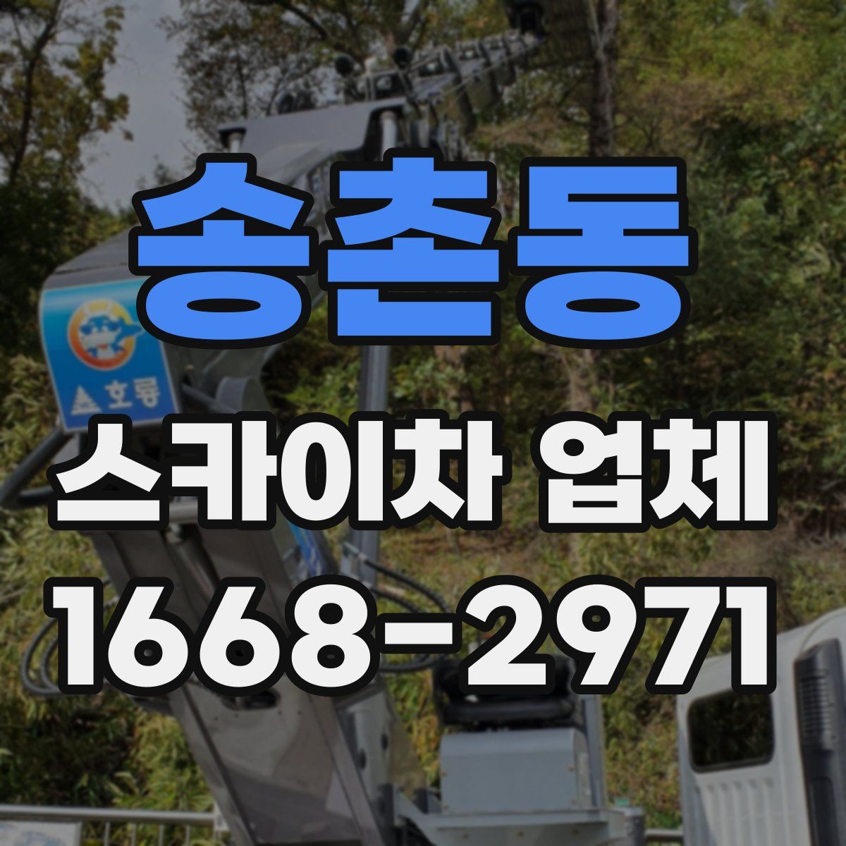 송촌동 스카이차 업체