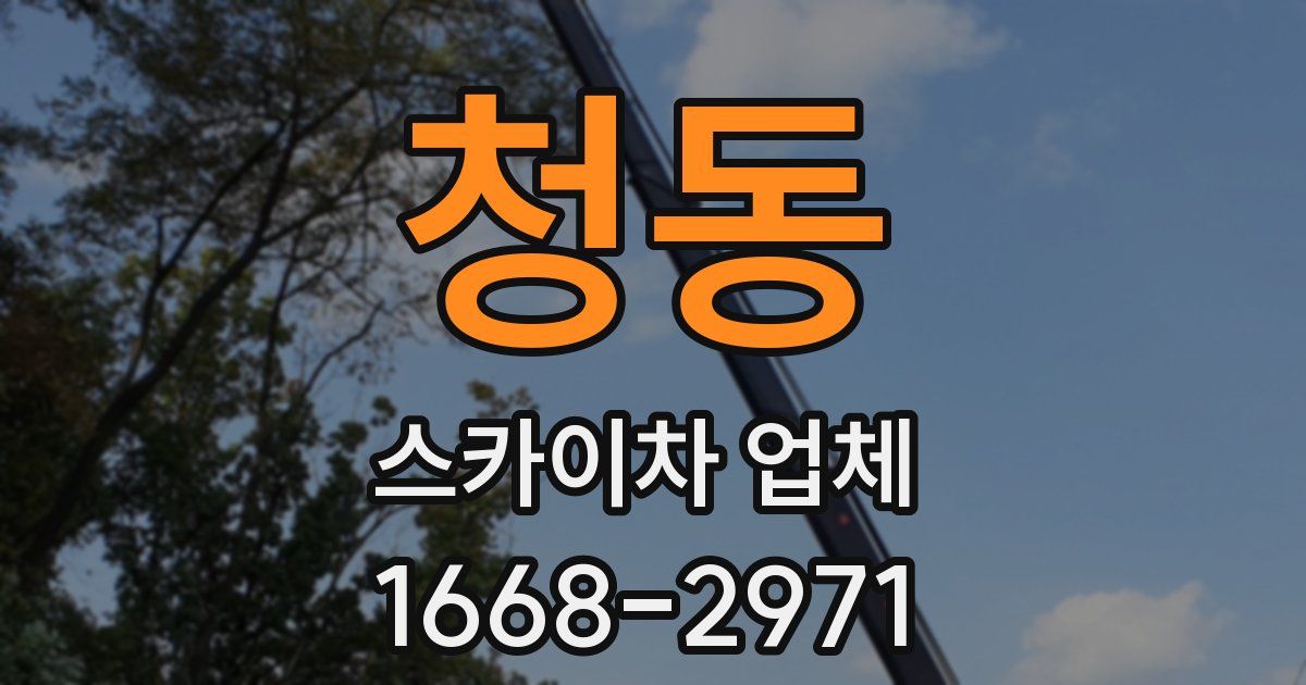 청동 스카이차 업체