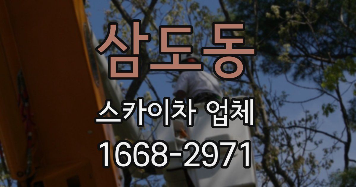 삼도동 스카이차 업체