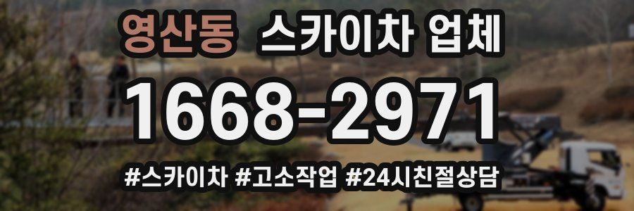 영산동 스카이차 업체