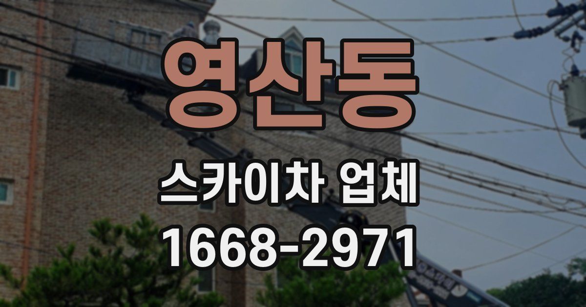 영산동 스카이차 업체