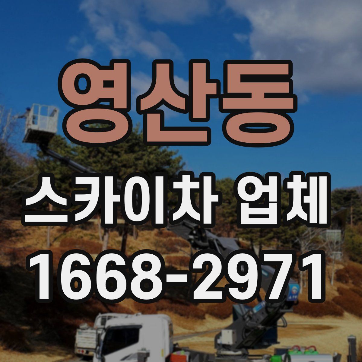 영산동 스카이차 업체
